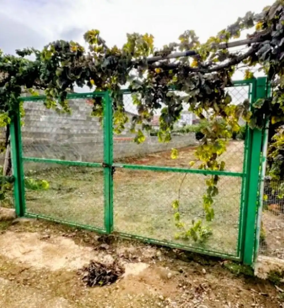 Land for sale in San Pedro de Mérida