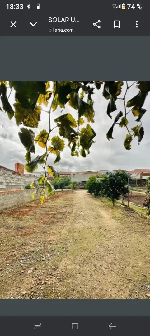Land for sale in San Pedro de Mérida