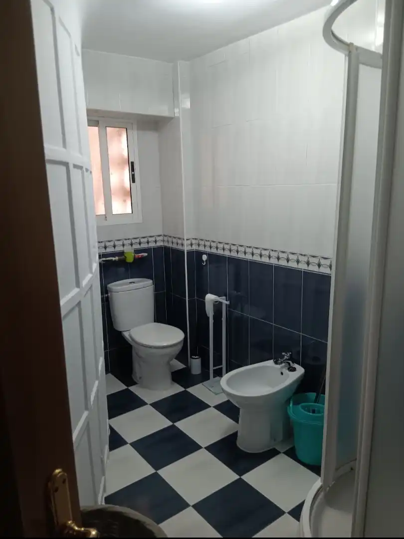 Flat for rent in Avenida de Cervantes, 14, Cervantes Bathroom of Flat for rent in Granada with Heating, Parquet flooring and Furnished