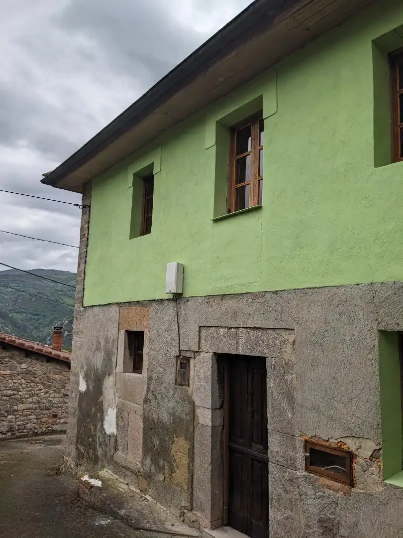 Exterior view of Detached homes for sale in Proaza