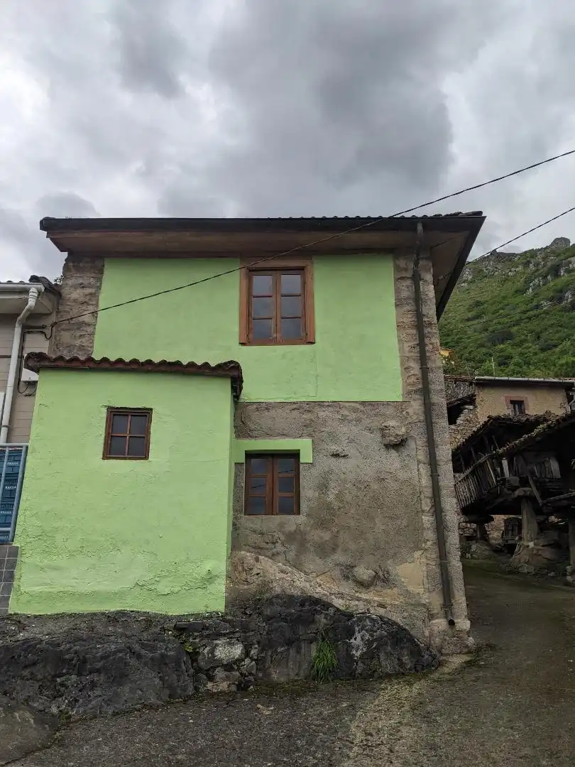 Exterior view of Detached homes for sale in Proaza