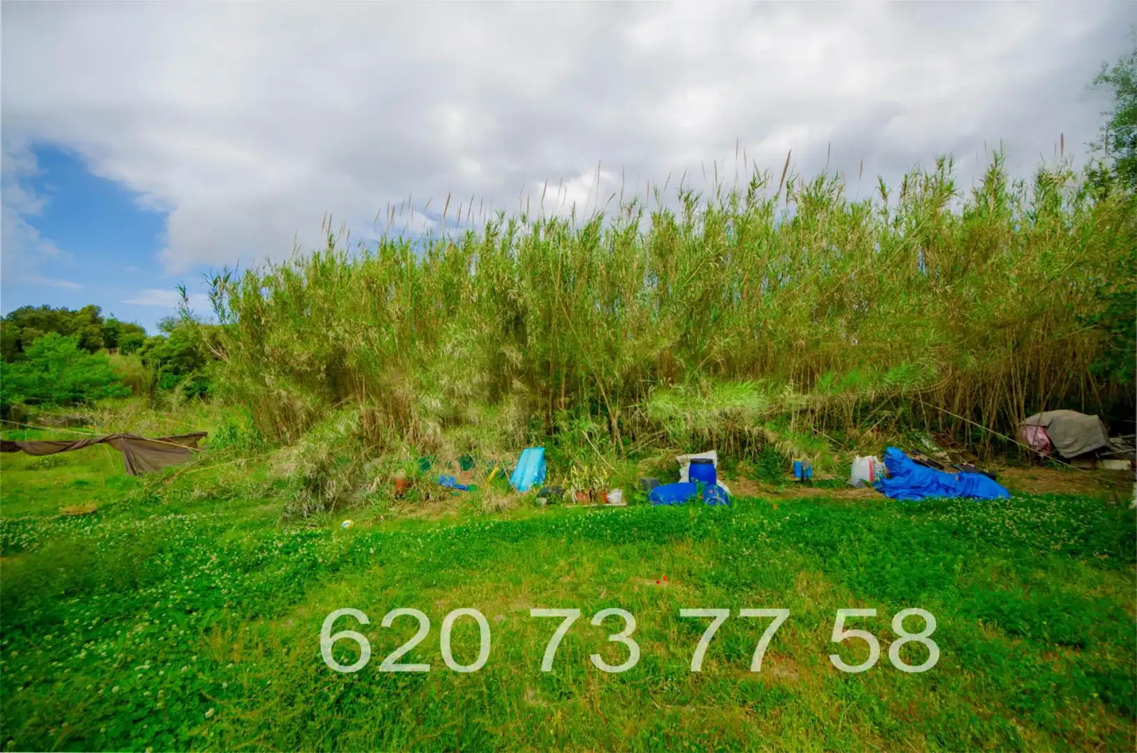 Finca rústica en venta en Diseminado Poligon 24, 199, Artà Poble Finca rústica en venta en Artà