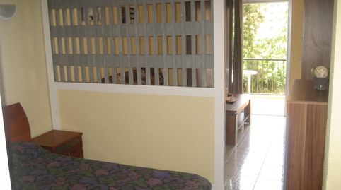 Estudio en venta en Calle Hermanos Fernández Perdigón, 6, Playa Jardín, Puerto de la Cruz - imagen 4 Foto 4 de Estudio en venta en Calle Hermanos Fernández Perdigón, 6, Playa Jardín, Puerto de la Cruz