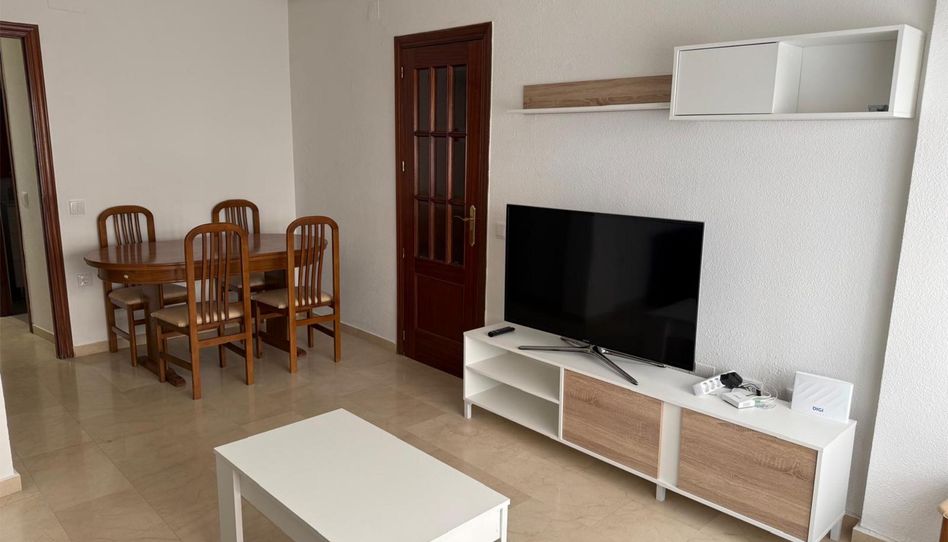 Habitación en Calle Sancho Panza, 5, El Torreón - Los Ángeles - El Pilar, Ciudad Real Capital - imagen 1 Foto 1 de Habitación en Calle Sancho Panza, 5, El Torreón - Los Ángeles - El Pilar, Ciudad Real Capital