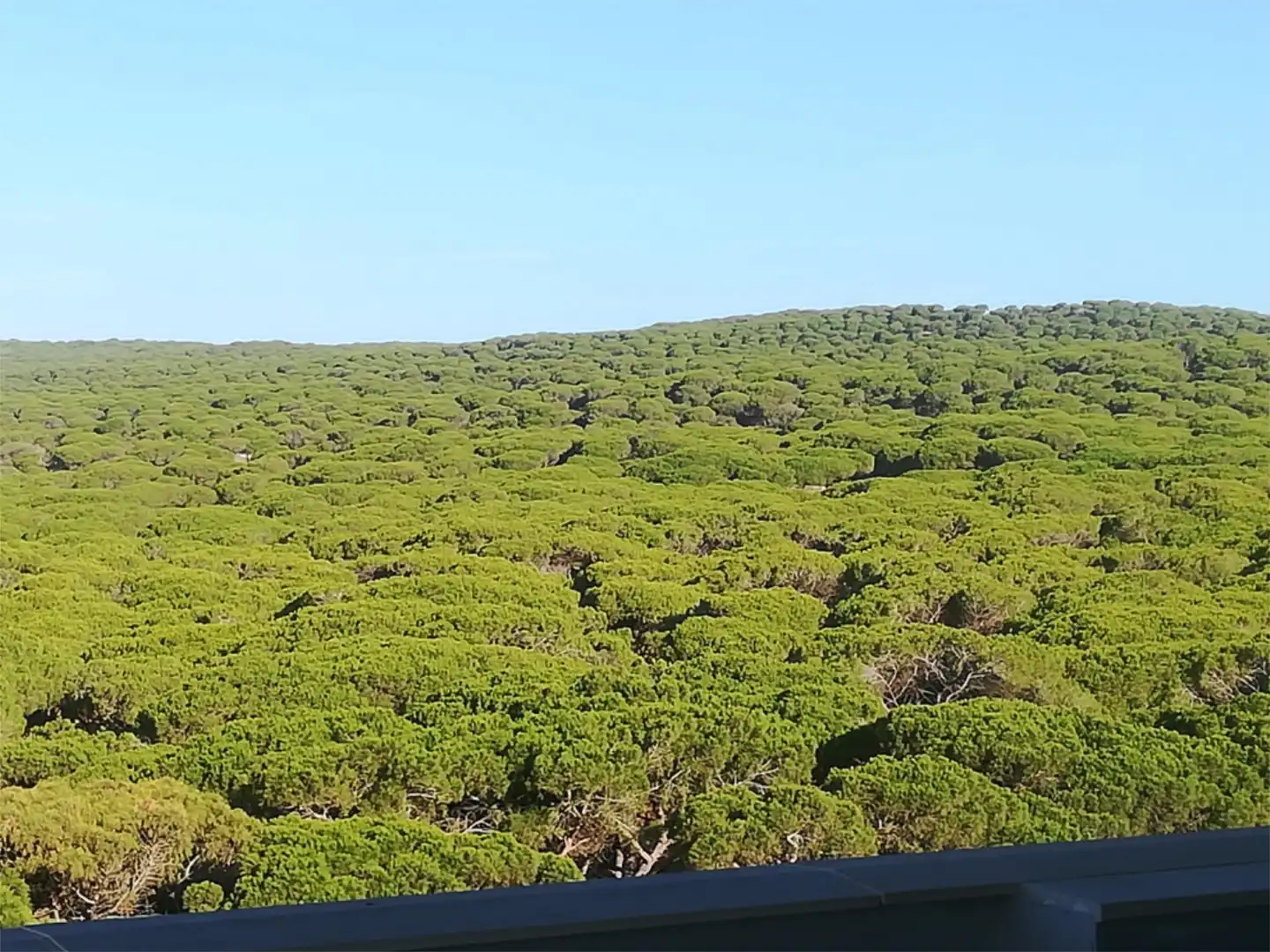 Wohnung zur Miete in Barbate mit Klimaanlage, Heizung und Terrasse
