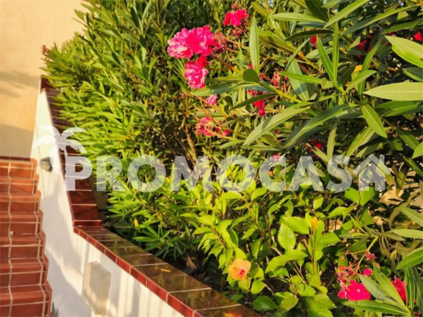 Flat for sale in Avenida San Francisco, 2, Los Cristianos Garden of Flat for sale in Arona with Air Conditioner, Terrace and Swimming Pool