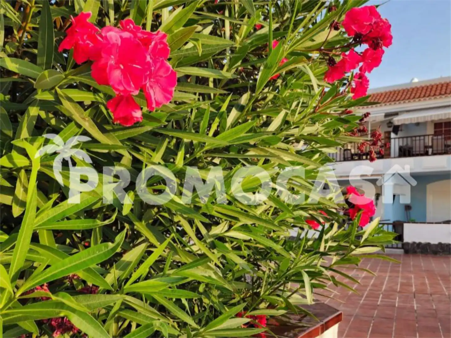 Flat for sale in Avenida San Francisco, 2, Los Cristianos Garden of Flat for sale in Arona with Air Conditioner, Terrace and Swimming Pool
