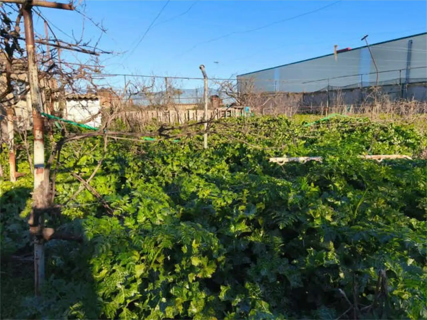 Houses for sale in Villanueva del Campo  with Heating, Private garden and Terrace