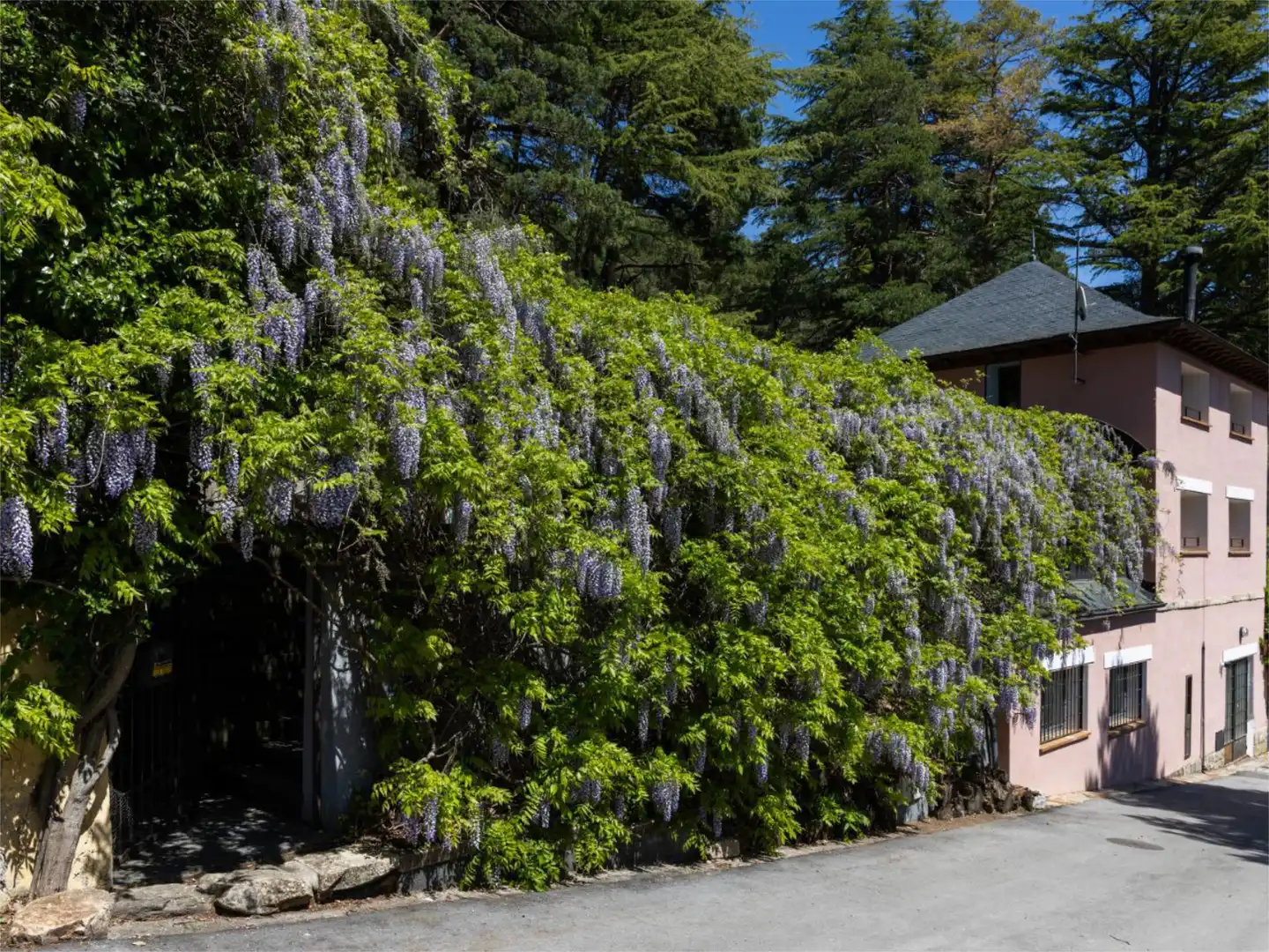 Haus oder Chalet zum Verkauf in Miraflores de la Sierra Garten von Haus oder Chalet zum Verkauf in Miraflores de la Sierra mit Terrasse