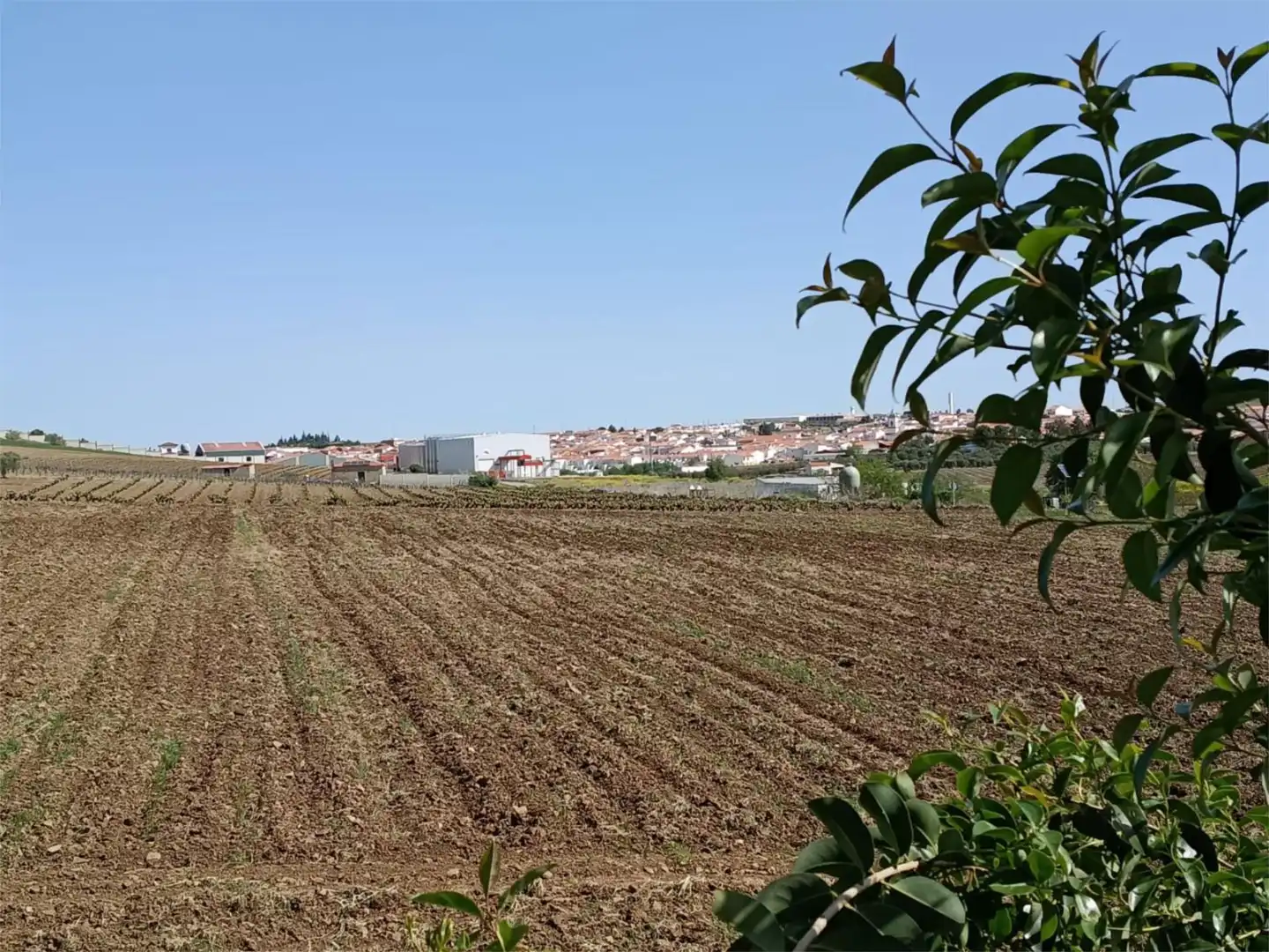 Piso en venta en Carretera los Santos de Maimona, 14, Ribera del Fresno Piso en venta en Ribera del Fresno con Aire acondicionado, Jardín privado y Terraza