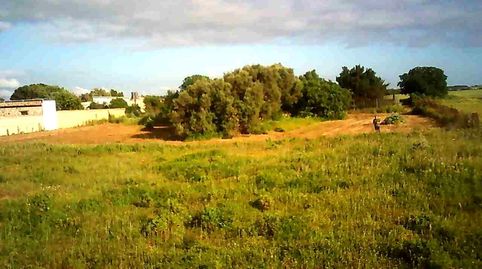 Photo 5 of Country homes for sale in Pago Hozanejos, 326, Pelagatos - Pago del Humo, Chiclana de la Frontera