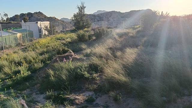 Terreno en Venta en Calle Foso, 19 en El Verdegàs