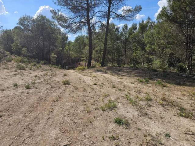 Terreno residencial en Venta en Urbanizacion los Pinares, 32 en Renera