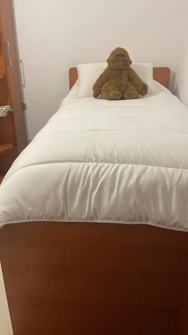 Bedroom of Flat for share in Bilbao   with Heating, Furnished and Balcony