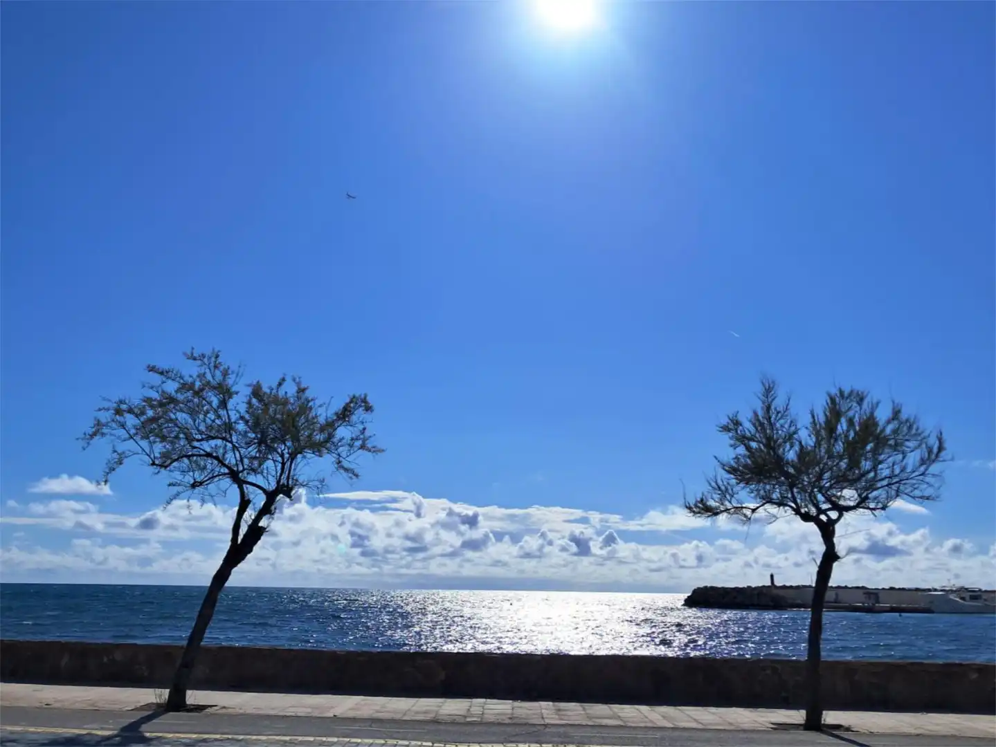 Vista exterior de Planta baja en venta en  Palma de Mallorca con Jardín privado, Terraza y Trastero