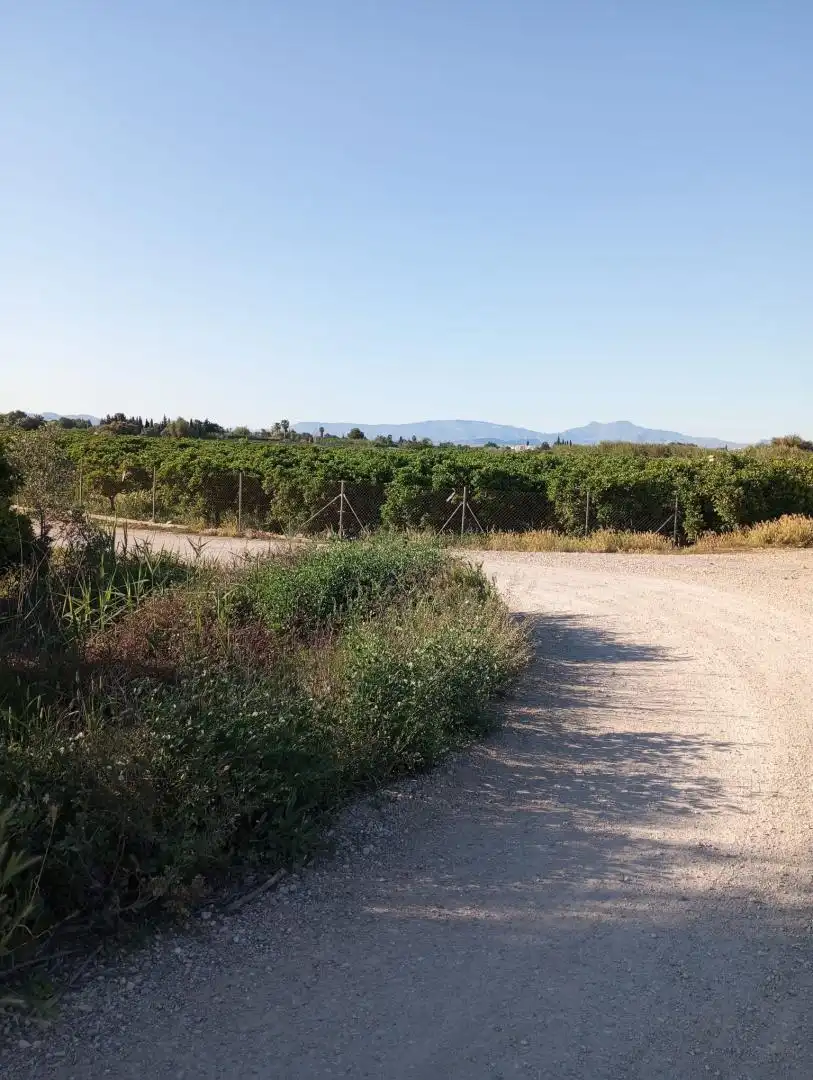 Finca rústica en venta en Murcia