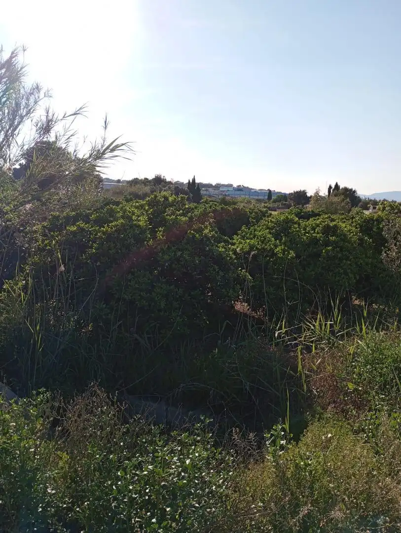 Finca rústica en venta en Murcia
