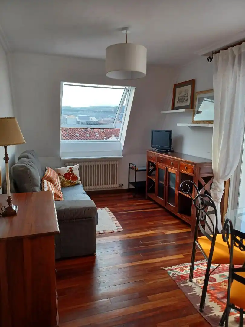 Sala d'estar de Àtic de lloguer en Pontevedra Capital  amb Calefacció, Parquet i Terrassa