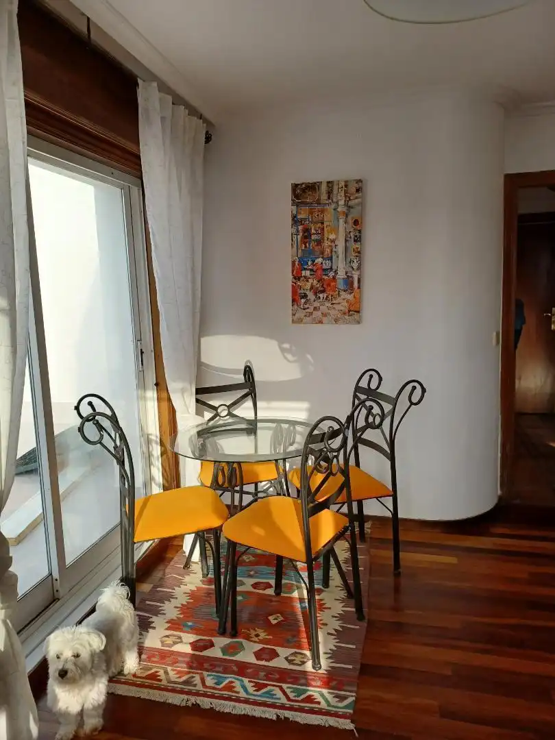 Ático de alquiler en Rúa José Millán, 9, Zona de Plaza de Barcelos Comedor de Ático de alquiler en Pontevedra Capital con Calefacción, Parquet y Terraza