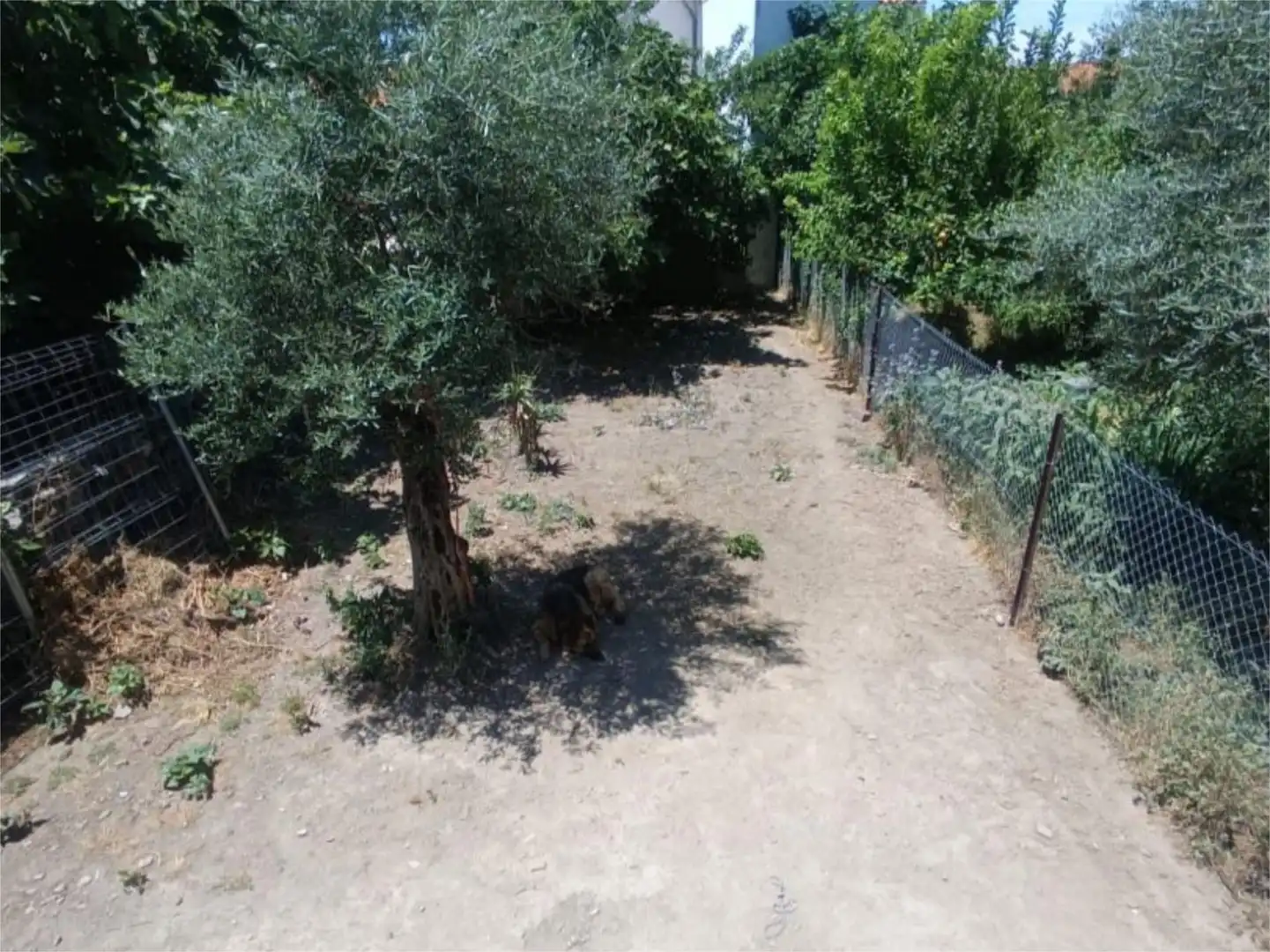 Casa adosada en venta en Calle Jacinto Benavente, 18, Madroñera Casa adosada en venta en Madroñera con Terraza