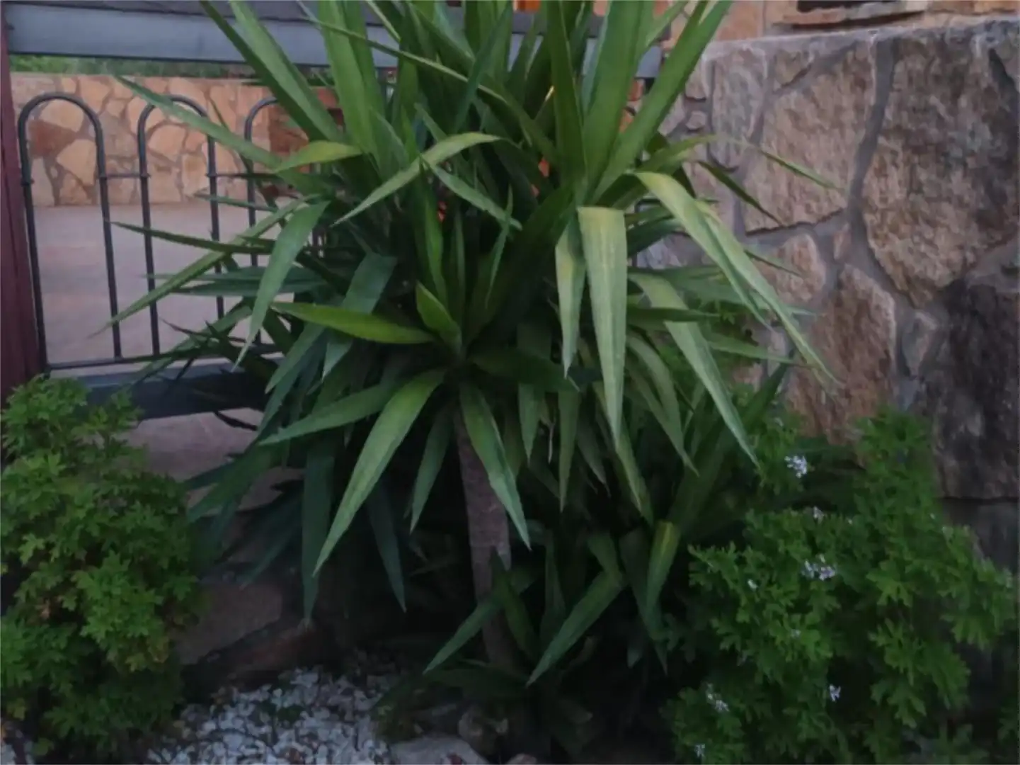 Jardí de Casa o xalet en venda en Casavieja amb Calefacció, Jardí privat i Terrassa