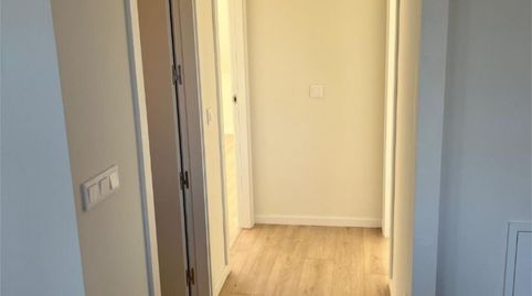 Foto 2 de Piso de alquiler en Paseo de Zorrilla, 137, La Rubia, Valladolid Capital