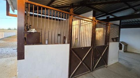 Foto 5 de Casa adosada en venta en Pedanías Norte, Utrera