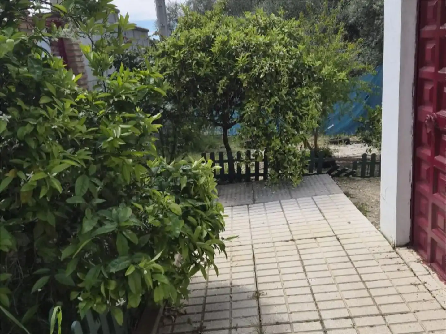Garden of Country homes for sale in La Carlota  with Air Conditioner, Terrace and Swimming Pool