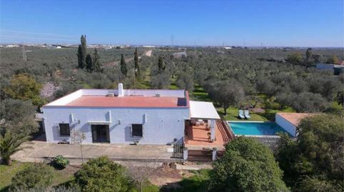 Foto 3 de Casa adosada en venta en Pilas, Sevilla