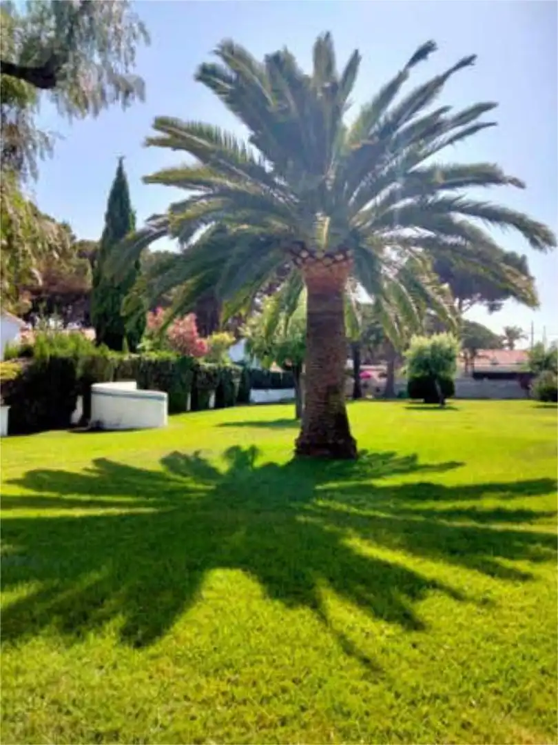 Apartamento en venta en Vilafortuny Platja Jardín de Apartamento en venta en Cambrils con Terraza
