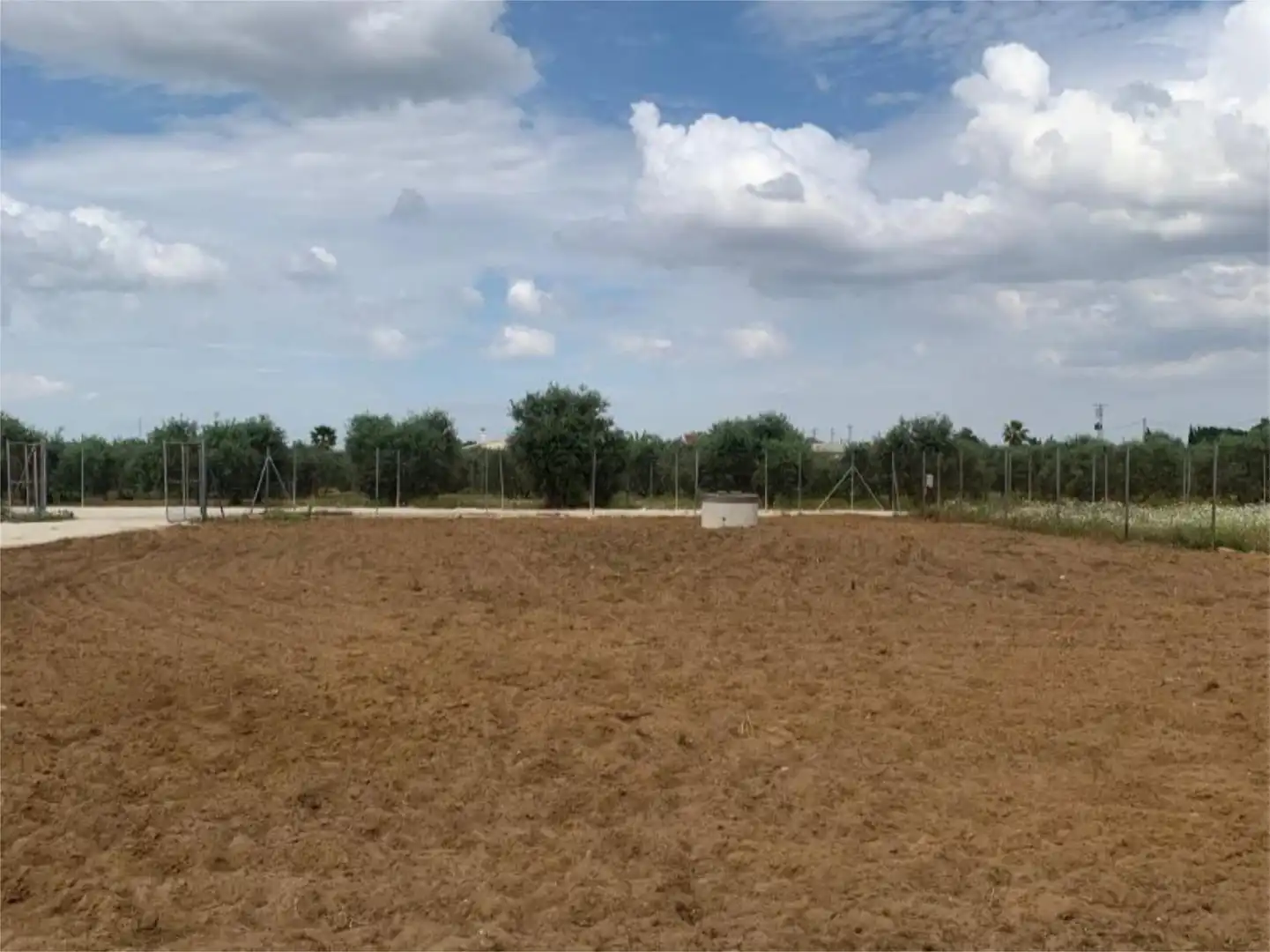 Finca rústica en venta en Carretera La Puebla de Cazalla, 2, Marchena