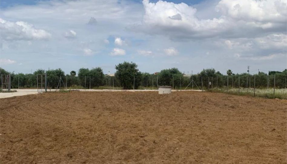 Finca rústica en venda a Carretera la Puebla de Cazalla, 2, Marchena, Sevilla - imatge 1 Foto 1 de Finca rústica en venda a Carretera la Puebla de Cazalla, 2, Marchena, Sevilla