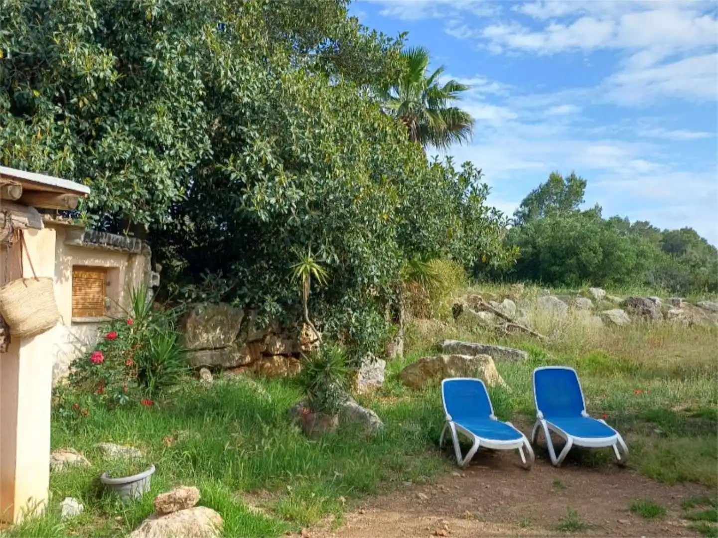 Jardín de Finca rústica de alquiler en Llubí con Aire acondicionado, Calefacción y Jardín privado
