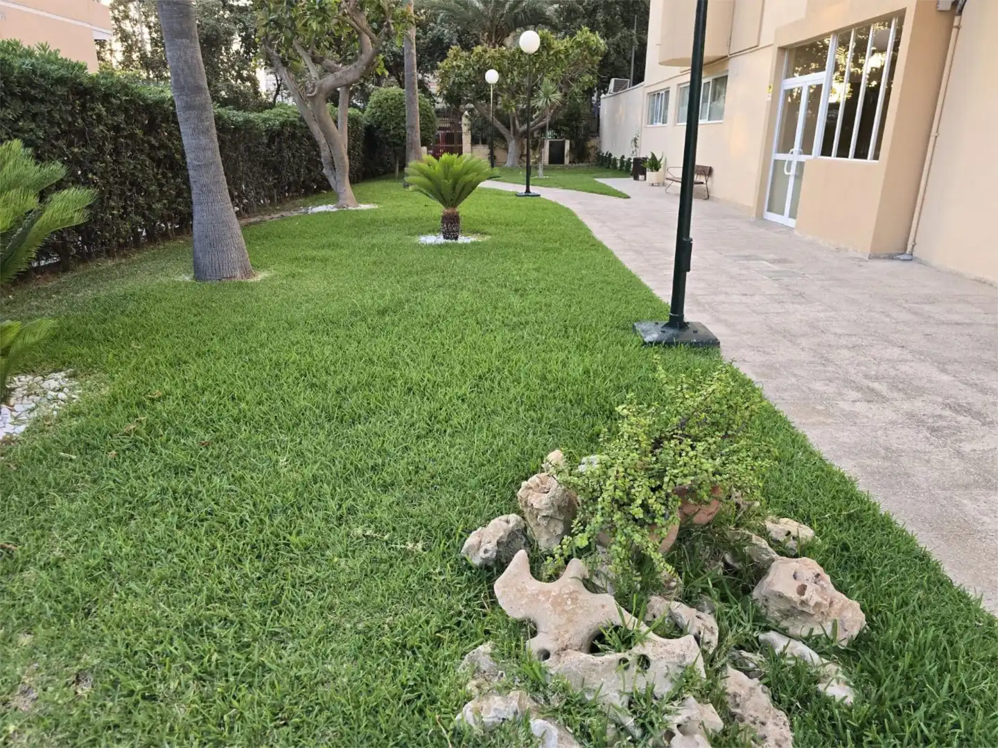 Garden of Flat for rent in Alicante / Alacant  with Air Conditioner, Swimming Pool and Furnished