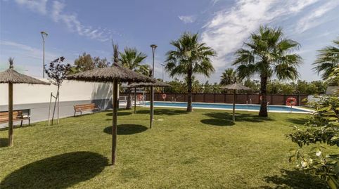 Photo 3 of Flat for rent in Avenida Jose Manuel Caballero Bonald, 4, Caballero Bonald - San José Obrero - Guadalcacín, Jerez de la Frontera