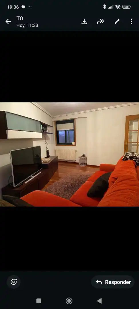 Sala d'estar de Apartament de lloguer en Ourense Capital  amb Calefacció, Parquet i Terrassa