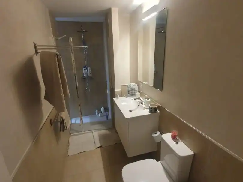 Flat for rent in Santa Fe, 7, Los Remedios Bathroom of Flat for rent in Sevilla Capital with Air Conditioner and Terrace