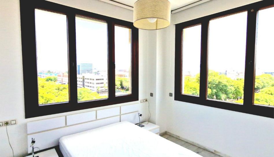 Flat for rent in Calle Casuarina, 1, Parque Alcosa, Sevilla Capital - image 1 Photo 1 of Flat for rent in Calle Casuarina, 1, Parque Alcosa, Sevilla Capital