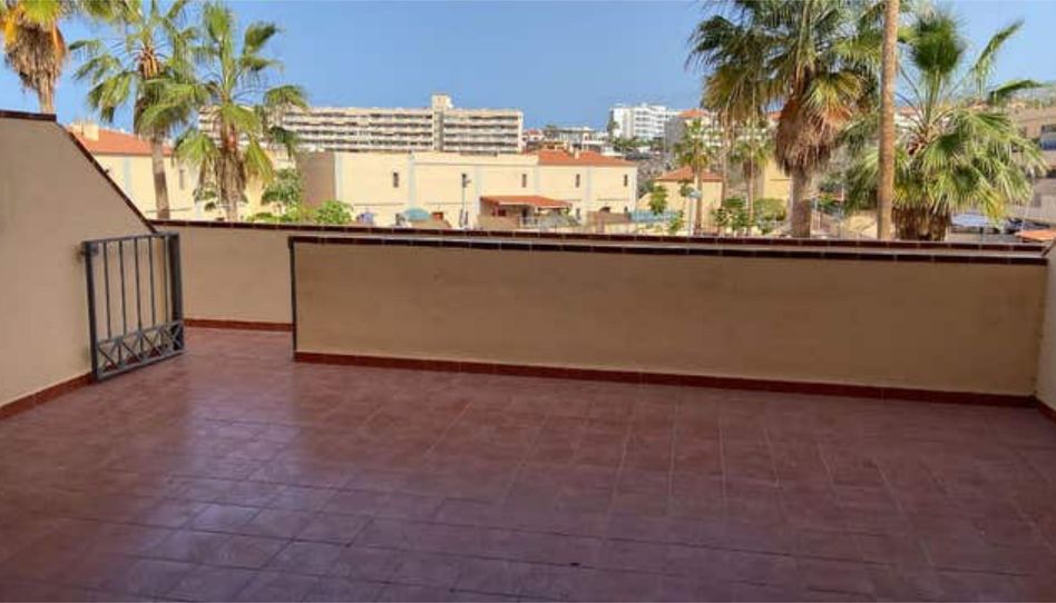 Flat for rent in Callao Salvaje - Playa Paraíso, Adeje - image 1 Photo 1 of Flat for rent in Callao Salvaje - Playa Paraíso, Adeje