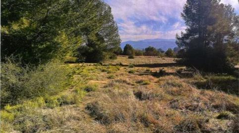 Finca rústica en venta en Carrer Castelló, 1, La Llosa de Ranes, Valencia - imagen 3 Foto 3 de Finca rústica en venta en Carrer Castelló, 1, La Llosa de Ranes, Valencia
