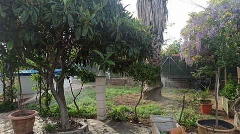 Photo 3 of Country homes for sale in Diseminado, 25, Tres Olivos - La Piedad, Talavera de la Reina