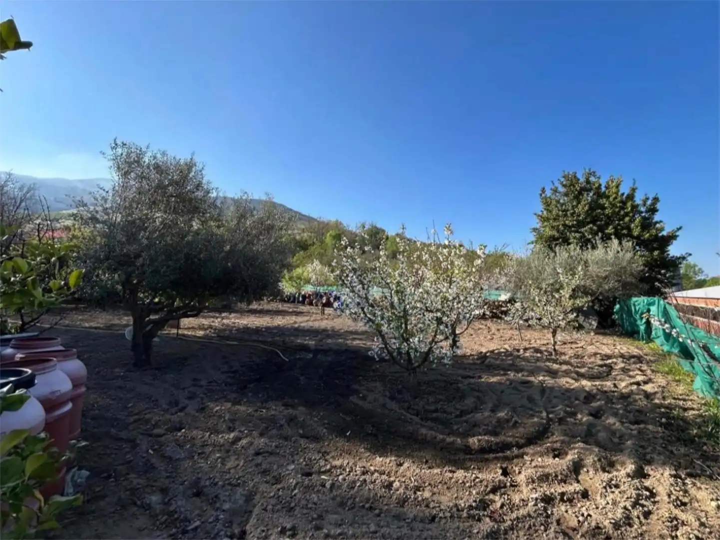 Houses for sale in Casas del Castañar  with Terrace and Swimming Pool