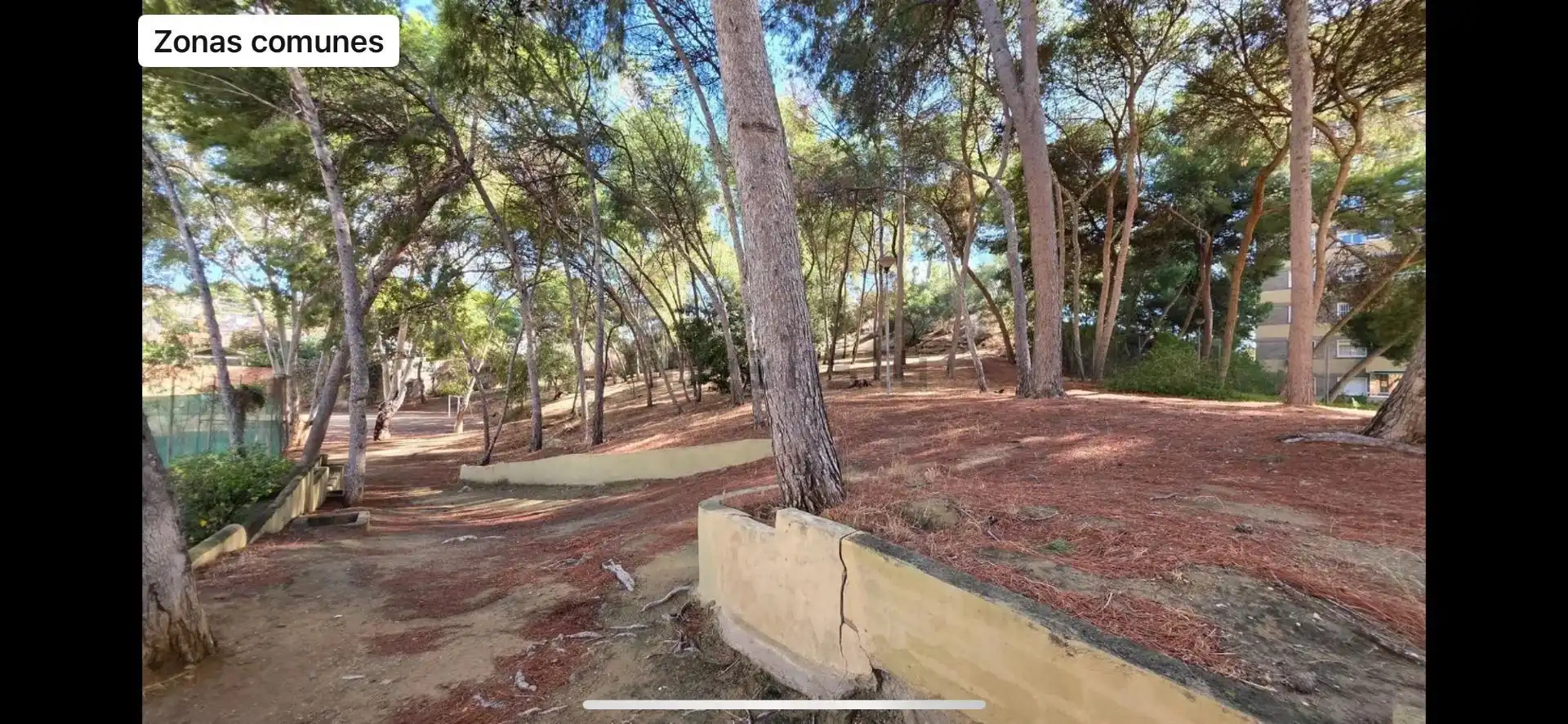Pis en venda a Calle Antonio Trueba, 15a, El Palo Pis en venda en Málaga Capital amb Terrassa i Piscina