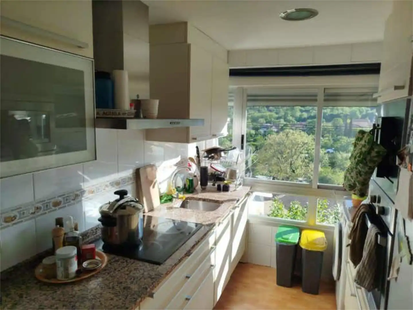 Cocina de Piso de alquiler en Bustarviejo
