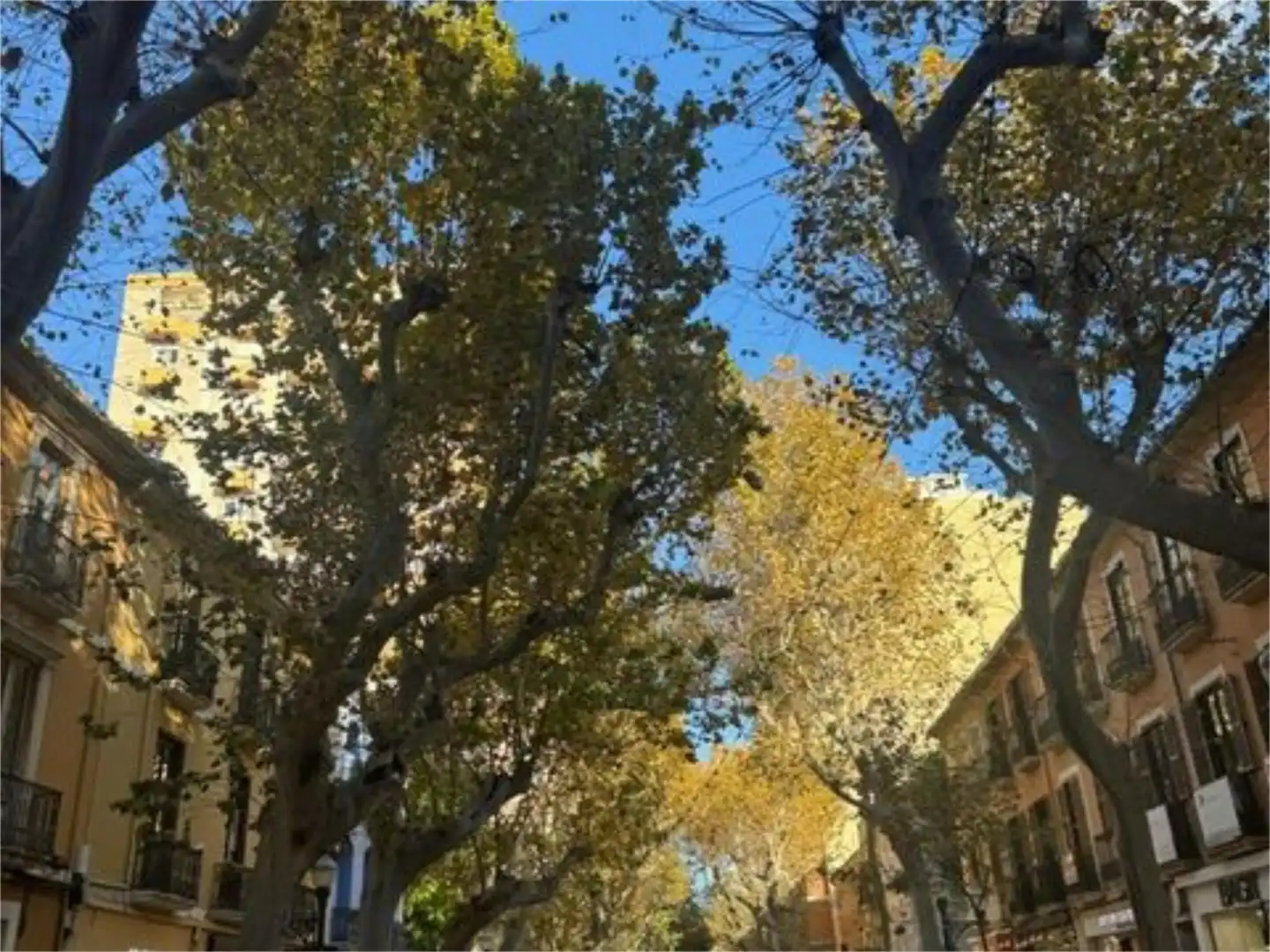 Flat for sale in Carrer del Cop, 3, Centro Urbano Exterior view of Flat for sale in Dénia