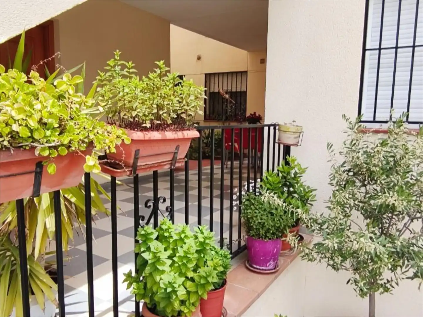 Wohnung zum Verkauf in Calle Jardines, 1, Cúllar Vega Terrasse von Wohnung zum Verkauf in Cúllar Vega mit Klimaanlage, Terrasse und Balkon