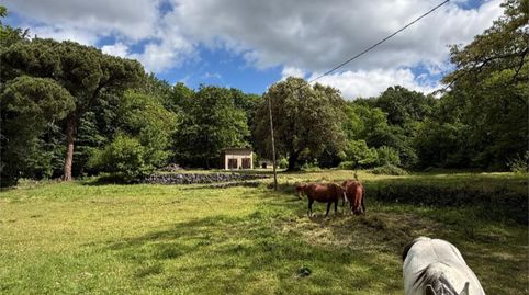 Foto 4 von Country house zum Verkauf in Vial Camino, 11, Santa Pau, Girona