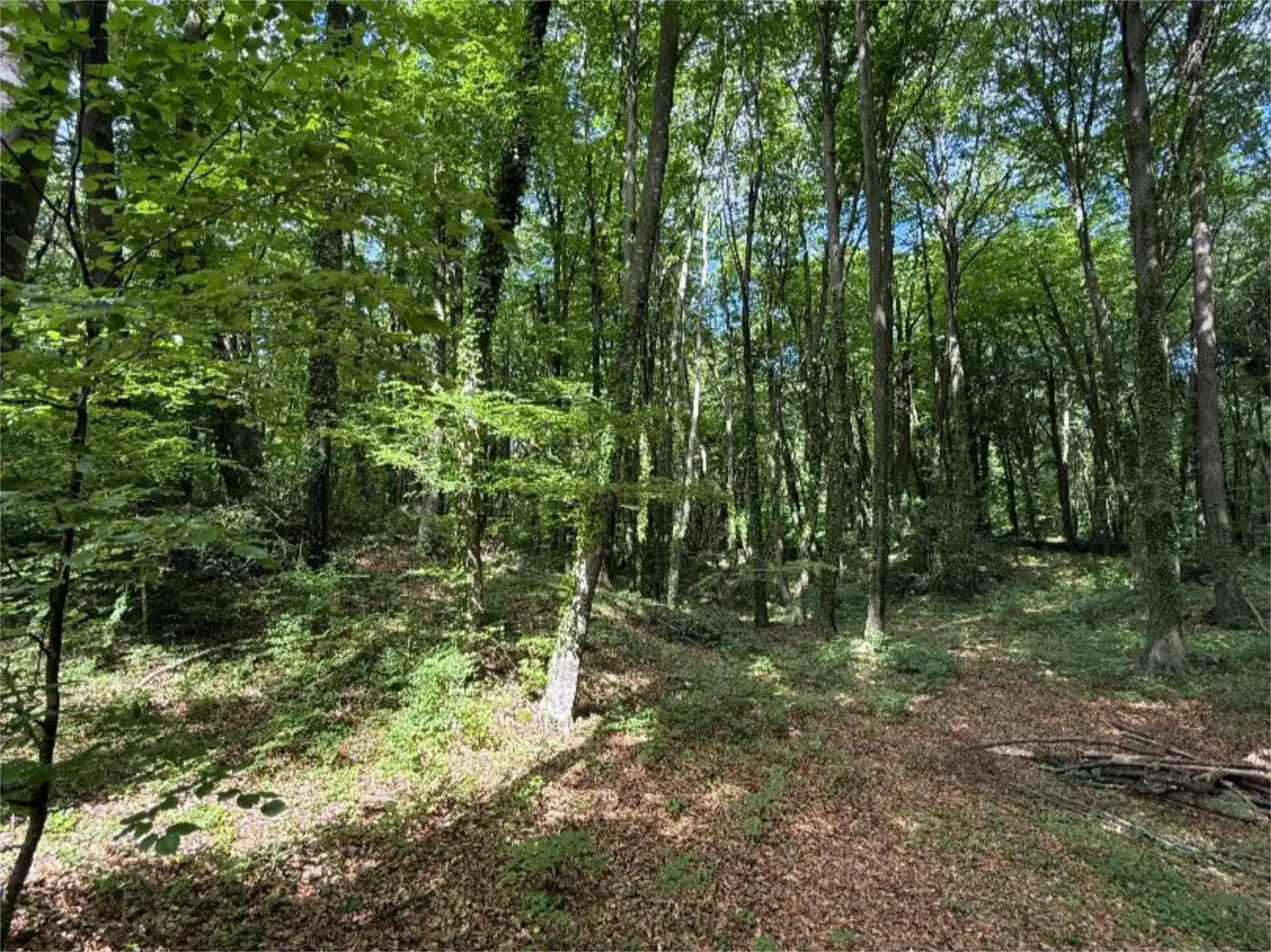 Finca rústica en venta en Vial Camino, 11, Santa Pau Finca rústica en venta en Santa Pau con Jardín privado