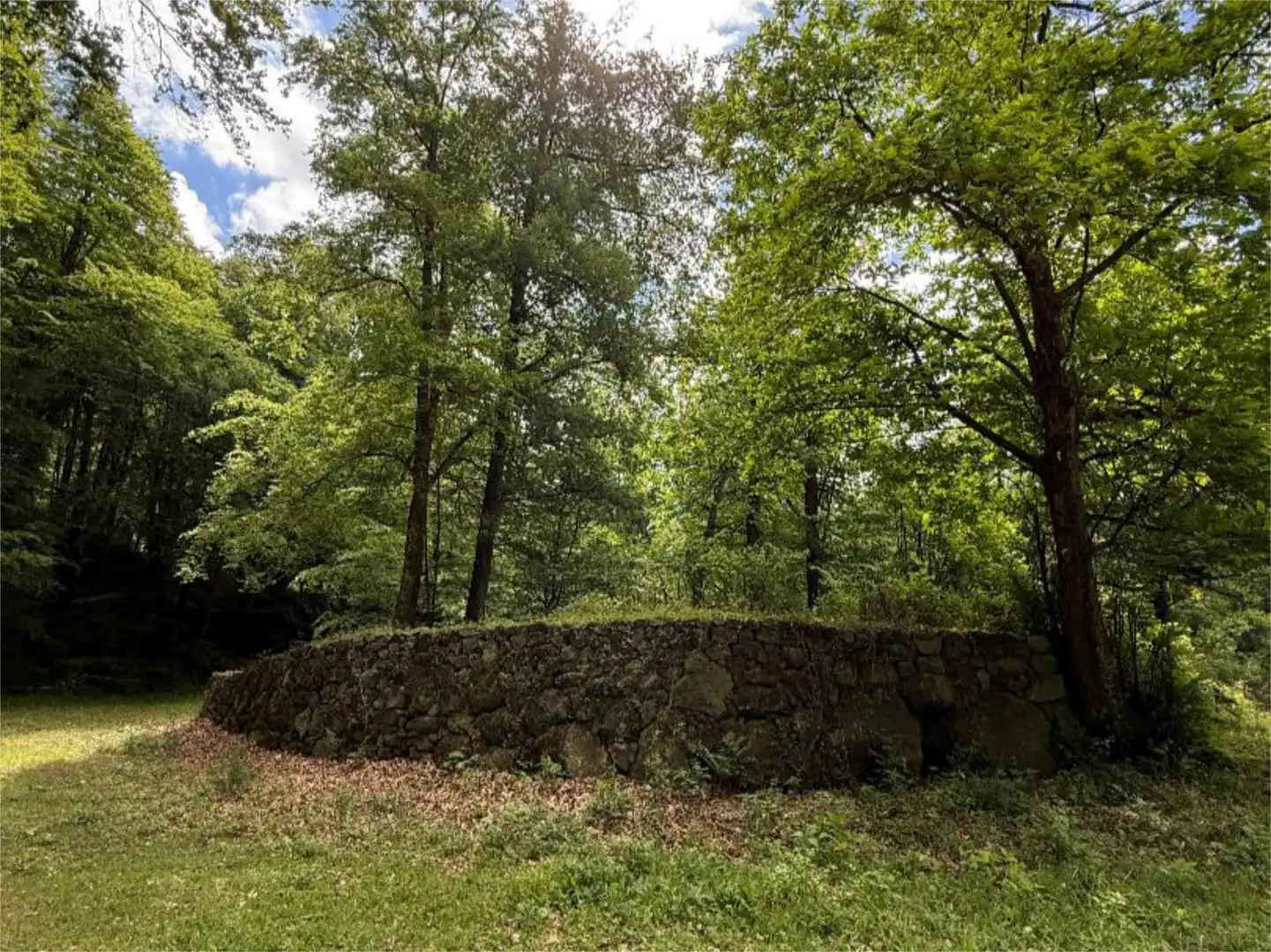 Finca rústica en venta en Vial Camino, 11, Santa Pau Finca rústica en venta en Santa Pau con Jardín privado