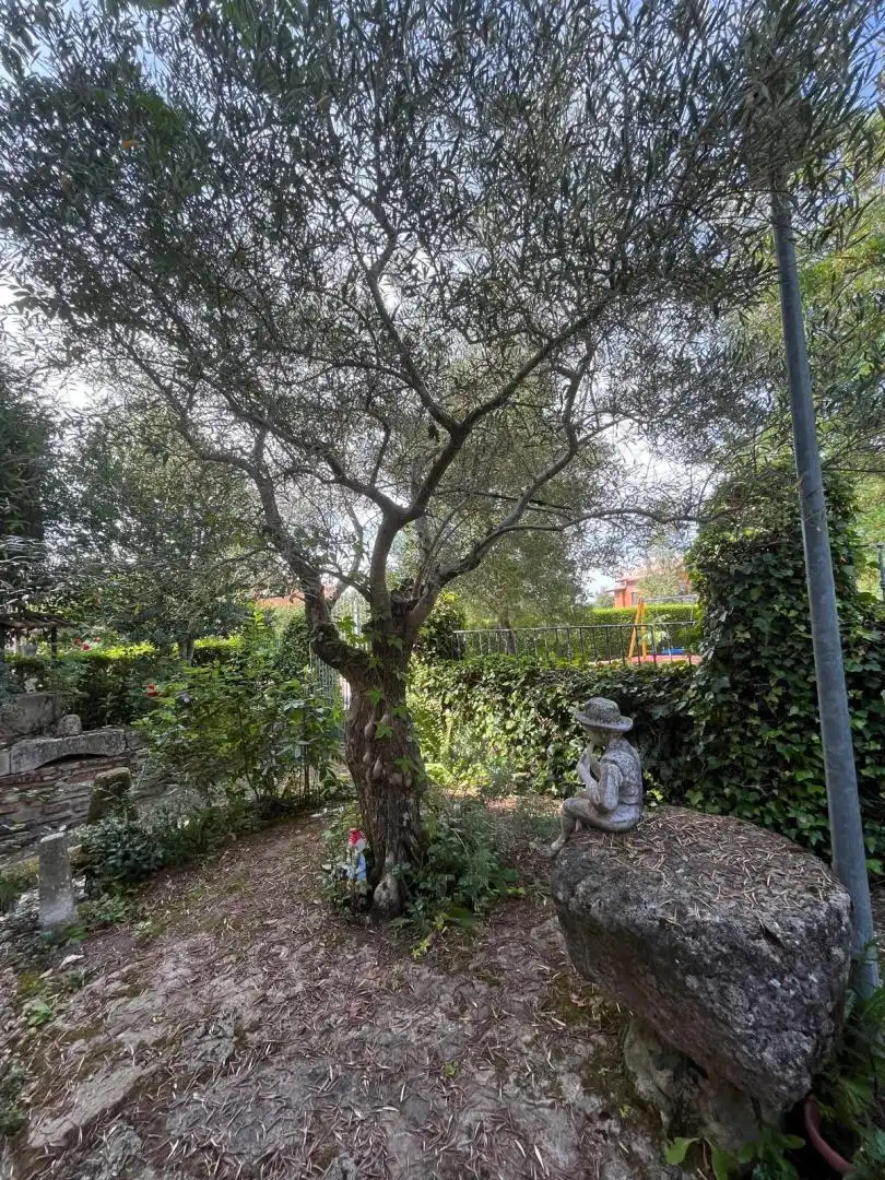 Jardín de Casa o chalet en venta en La Alberca  con Calefacción, Jardín privado y Parquet